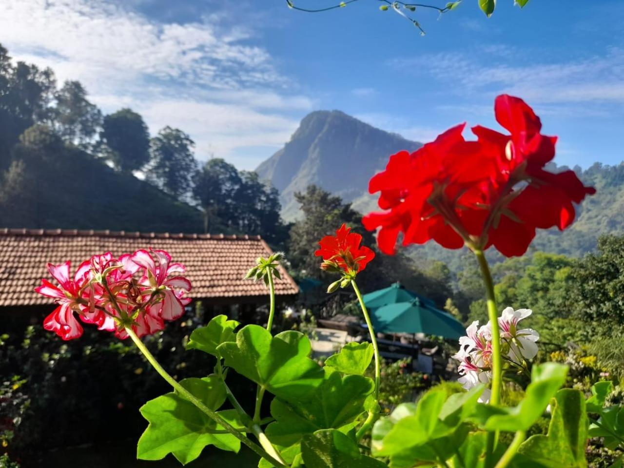 Ella Flower Garden Resort Esterno foto